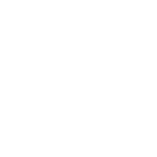SECURE PAYMENT